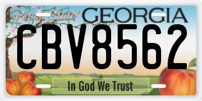 GA license plate CBV8562