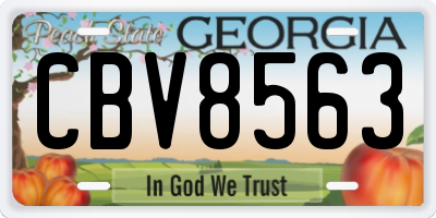 GA license plate CBV8563