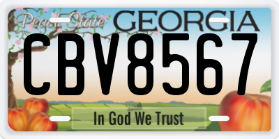 GA license plate CBV8567