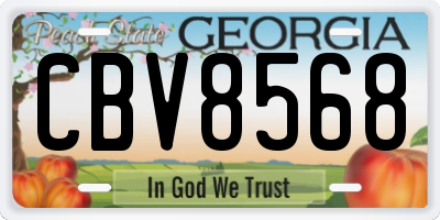GA license plate CBV8568