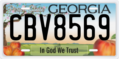 GA license plate CBV8569
