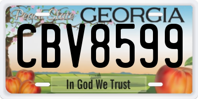 GA license plate CBV8599