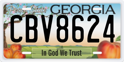 GA license plate CBV8624