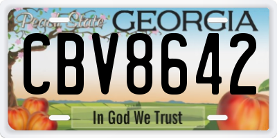 GA license plate CBV8642