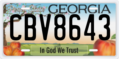 GA license plate CBV8643