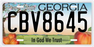 GA license plate CBV8645