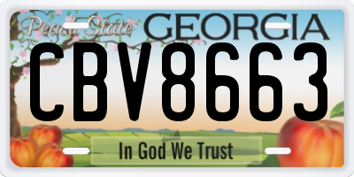 GA license plate CBV8663
