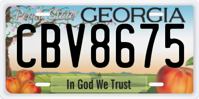 GA license plate CBV8675