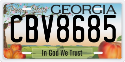 GA license plate CBV8685