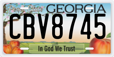 GA license plate CBV8745