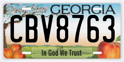 GA license plate CBV8763