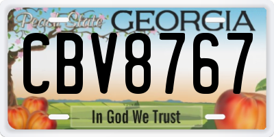GA license plate CBV8767