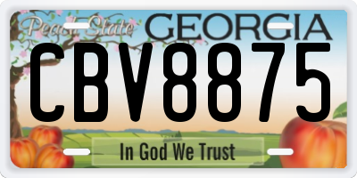 GA license plate CBV8875