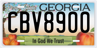 GA license plate CBV8900