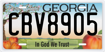 GA license plate CBV8905