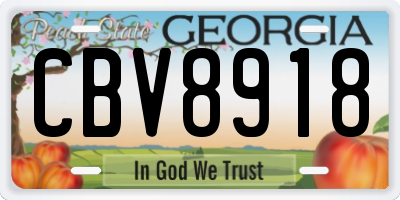 GA license plate CBV8918