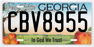 GA license plate CBV8955