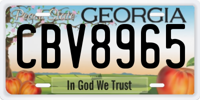 GA license plate CBV8965
