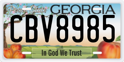GA license plate CBV8985