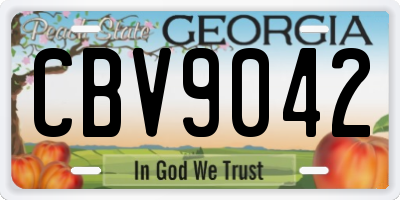 GA license plate CBV9042