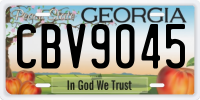 GA license plate CBV9045