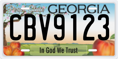 GA license plate CBV9123