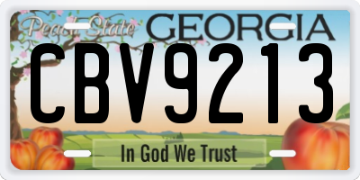 GA license plate CBV9213