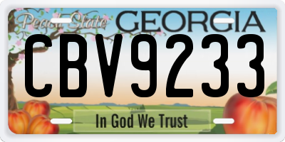 GA license plate CBV9233