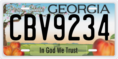 GA license plate CBV9234