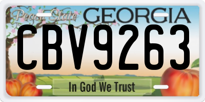 GA license plate CBV9263
