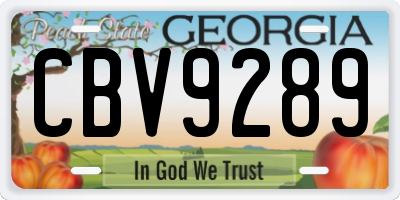 GA license plate CBV9289