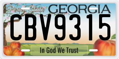 GA license plate CBV9315