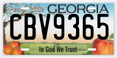 GA license plate CBV9365