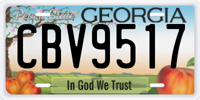 GA license plate CBV9517