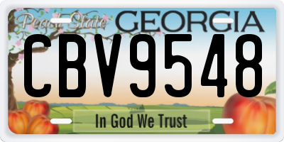 GA license plate CBV9548