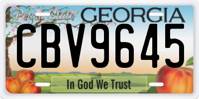 GA license plate CBV9645