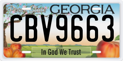 GA license plate CBV9663