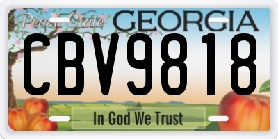 GA license plate CBV9818