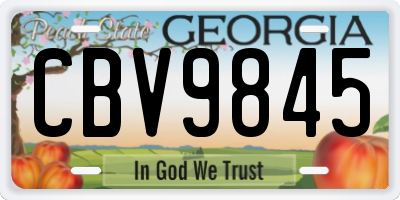GA license plate CBV9845