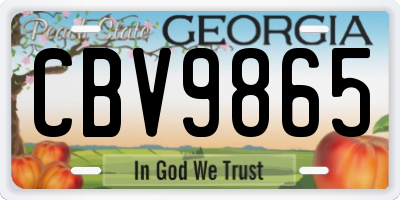 GA license plate CBV9865
