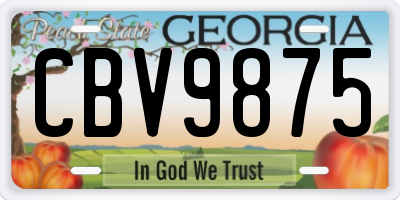 GA license plate CBV9875
