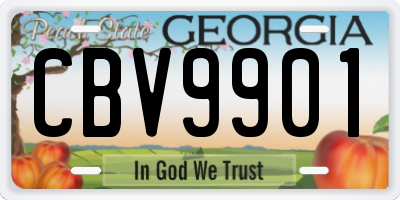 GA license plate CBV9901