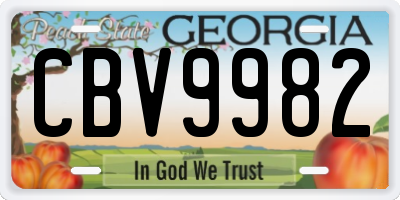GA license plate CBV9982