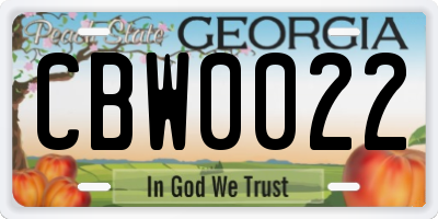 GA license plate CBW0022