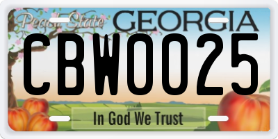 GA license plate CBW0025