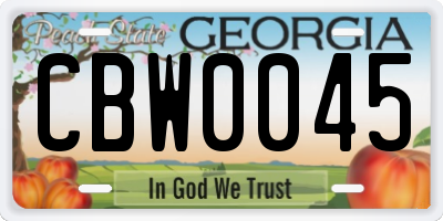 GA license plate CBW0045