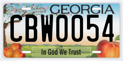 GA license plate CBW0054