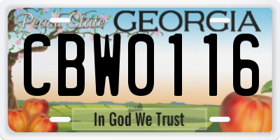 GA license plate CBW0116