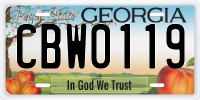 GA license plate CBW0119