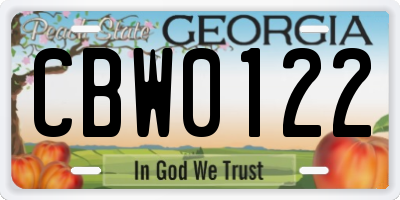 GA license plate CBW0122